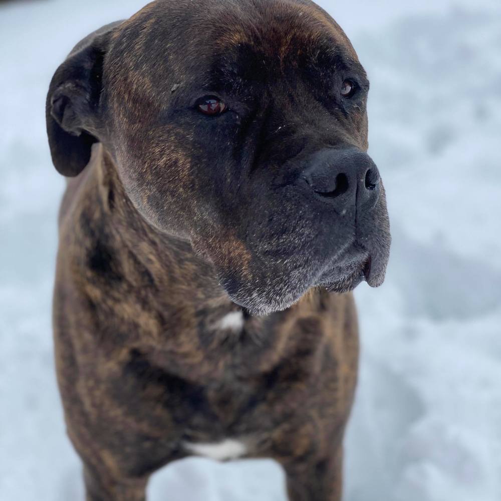 Meet your Posher, Jamie